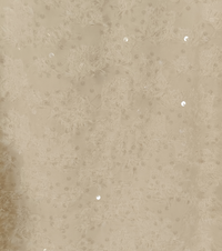 ŽENSKA KOŠULJA 3/4M 5683 Tellini S.R.L. Veleprodajna odjeća